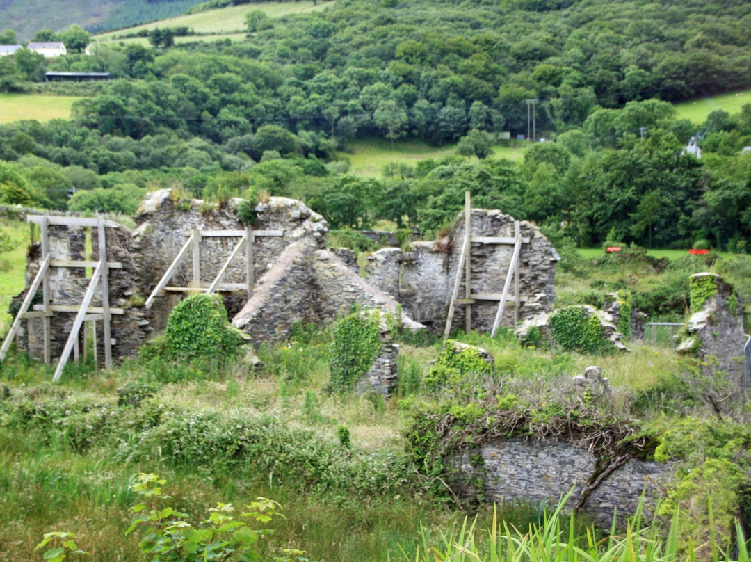 Daniel O'Connell's Birth Place景点图片