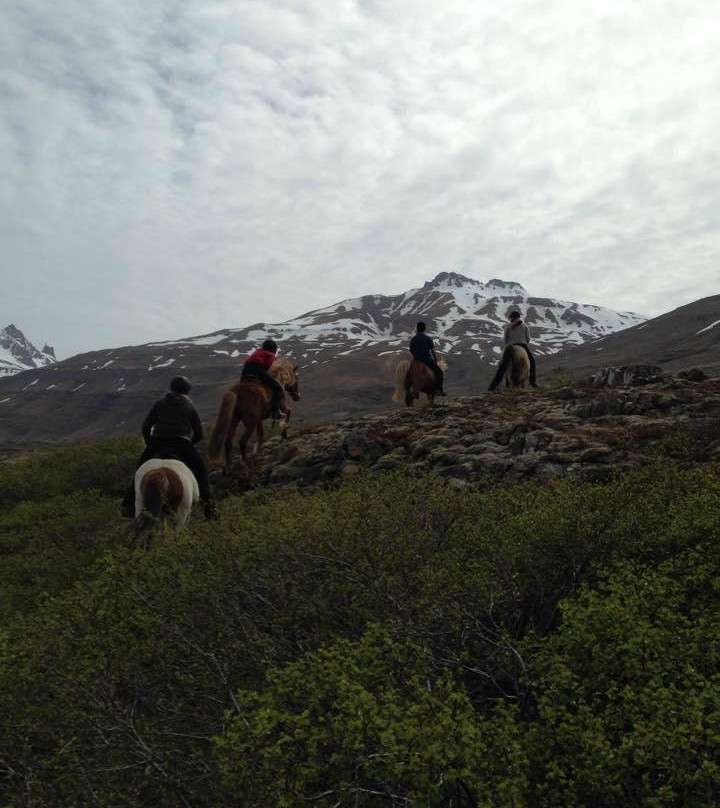 Odin Tours-Breiddalsvik必去景点