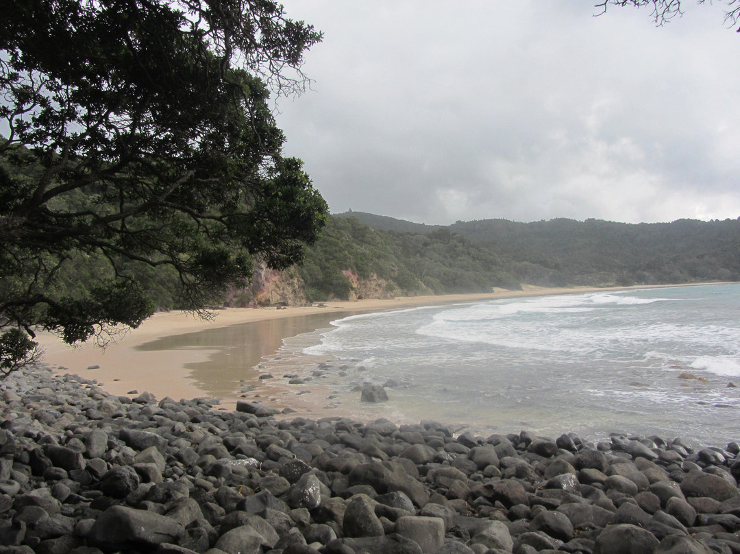 Whangamata Beach景点图片