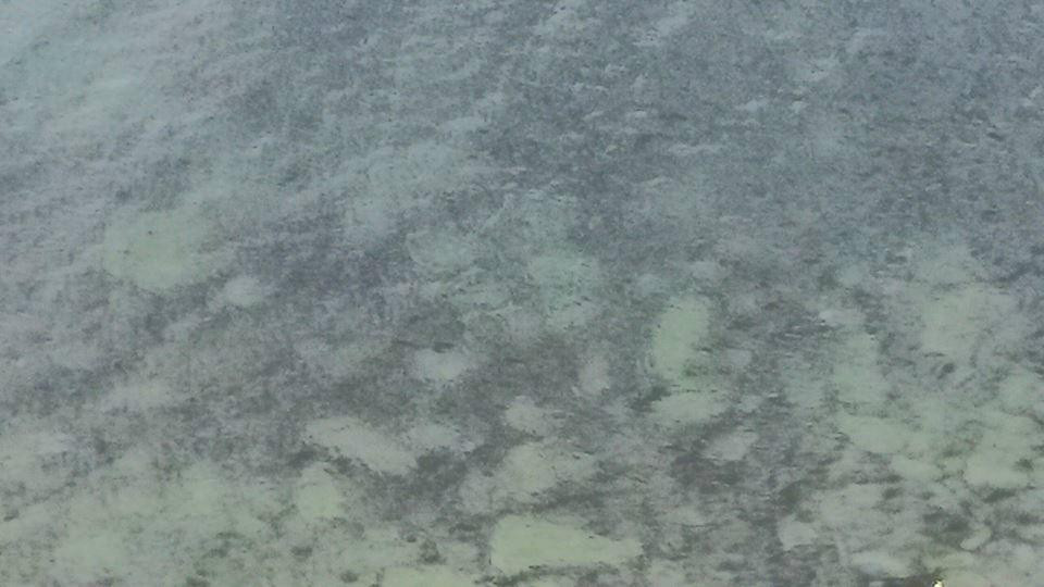 Robert G. Wehle State Park-Henderson必去景点