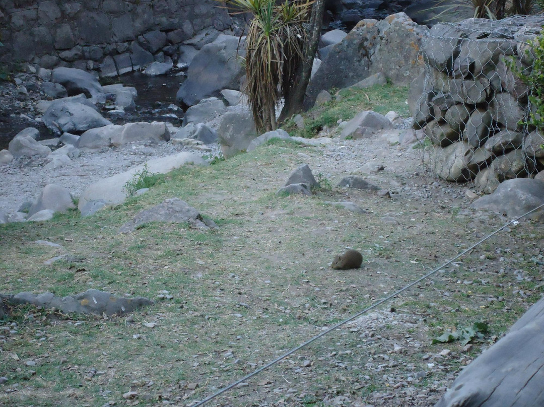 Reserva del Huaico-圣洛伦索必去景点