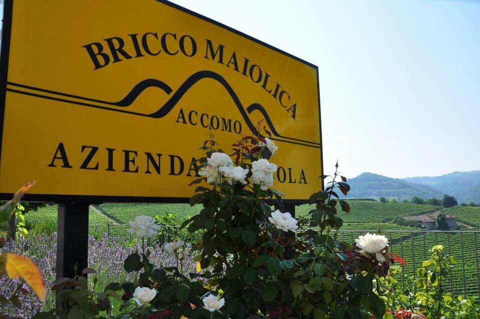Azienda Agricola Bricco Maiolica景点图片