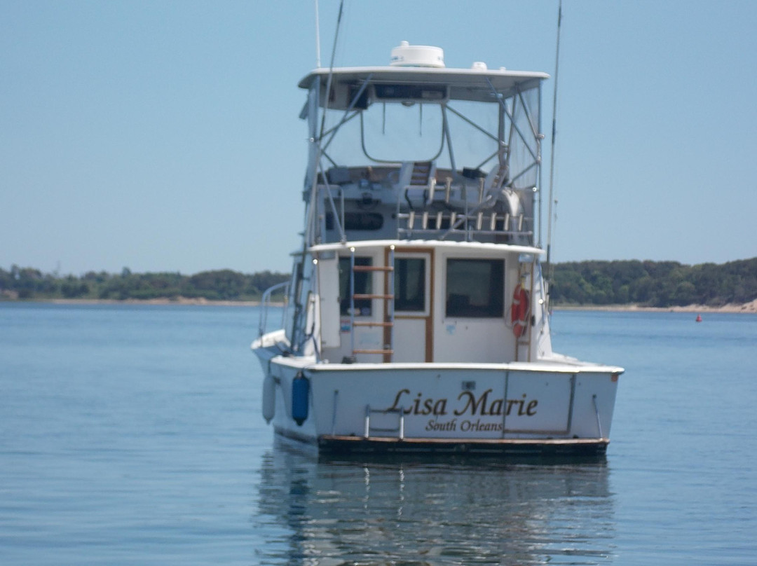 Sea Charters Sportfishing景点图片