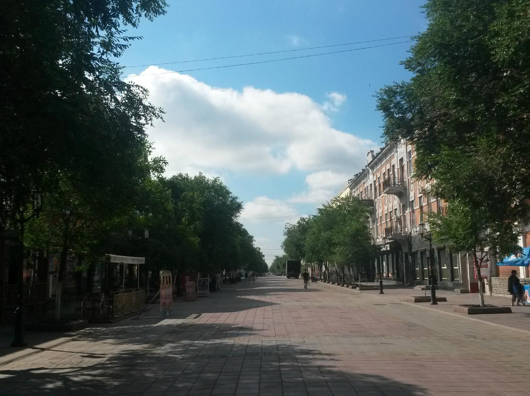 Sovetskaya Street景点图片