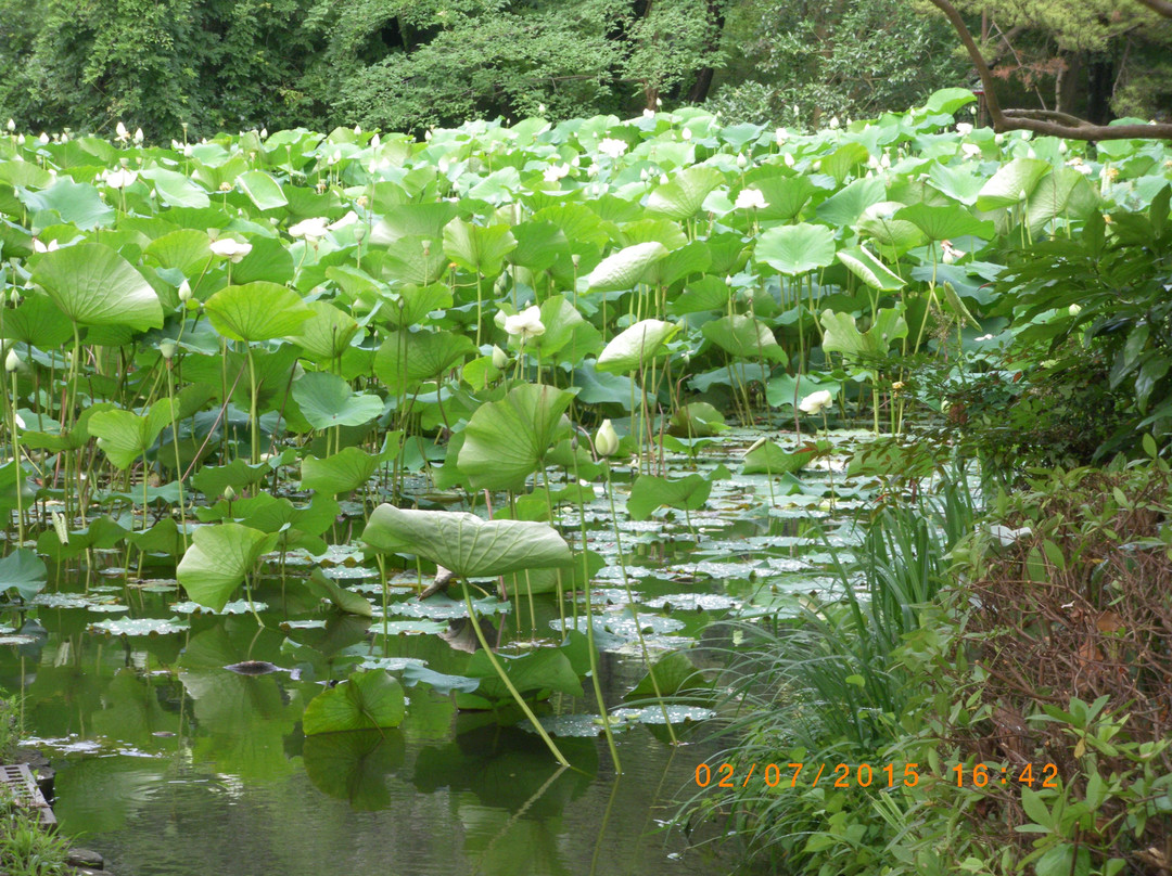 Fujisaki Shinrin Park