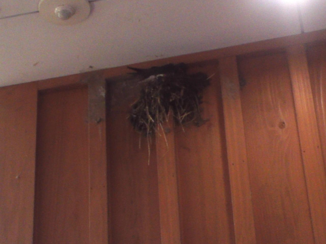 Michi no Eki Azunosato Ichihara-市原市必去景点