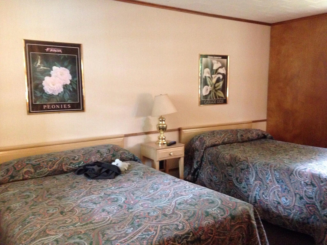 Sun And Sand Hotel主图