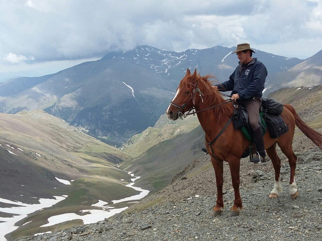 Centre Hipica Mas Batllo-Vilallonga de Ter必去景点