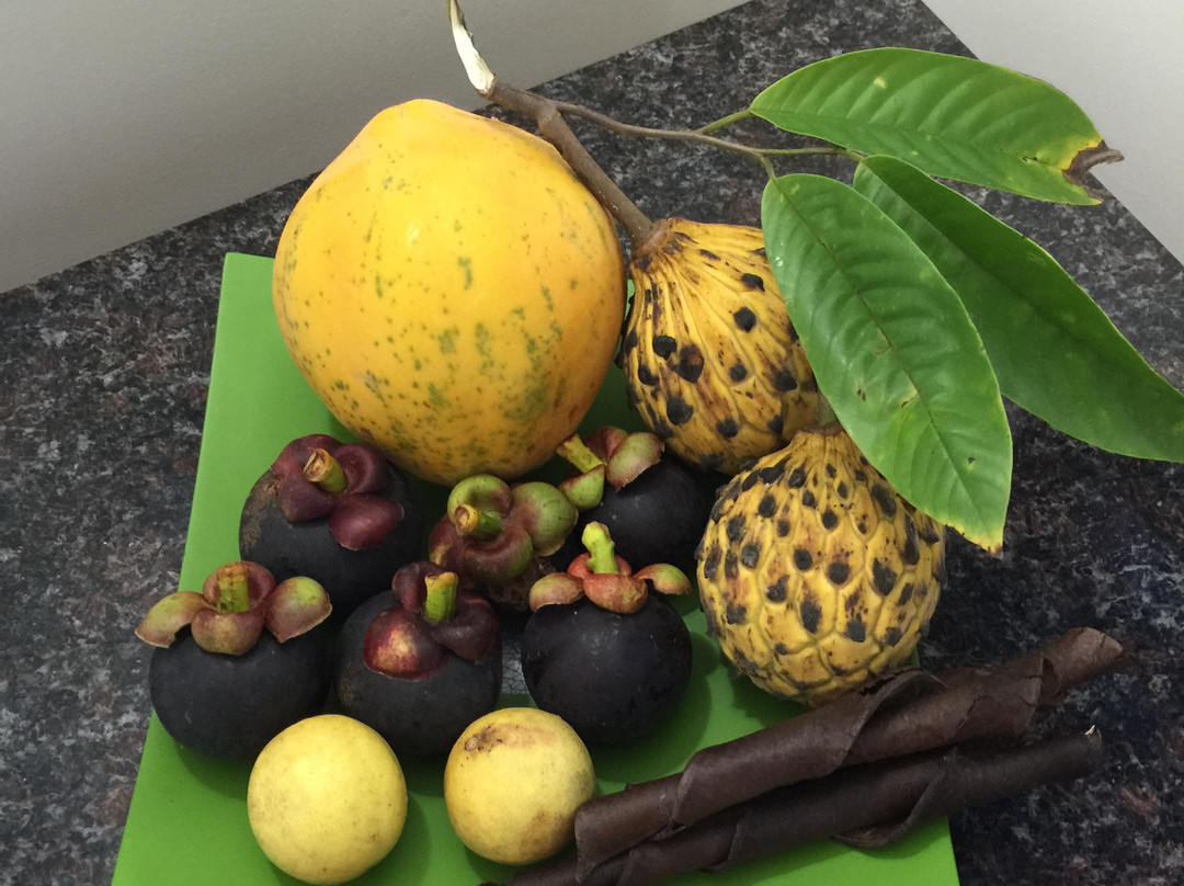 Whyanbeel Arboretum-Whyanbeel必去景点