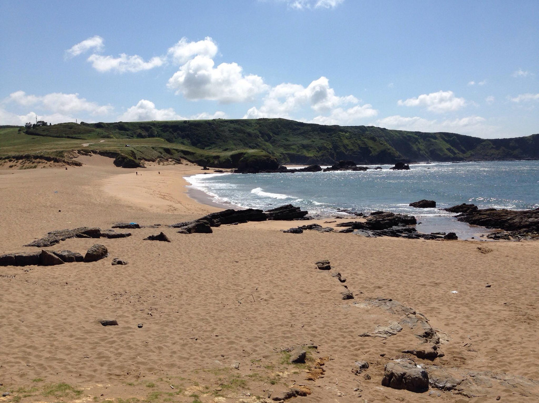 Playa de Verdicio景点图片