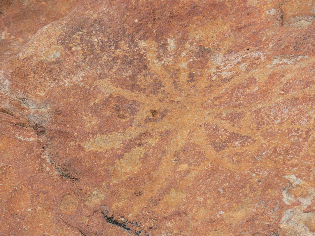 Off Road Adventure Safaris-Bamaga必去景点