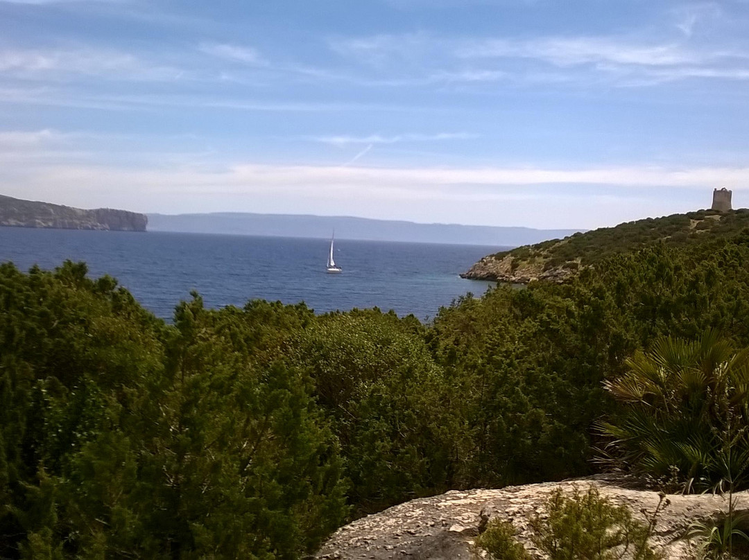 Cala Dragunara-阿尔盖罗必去景点