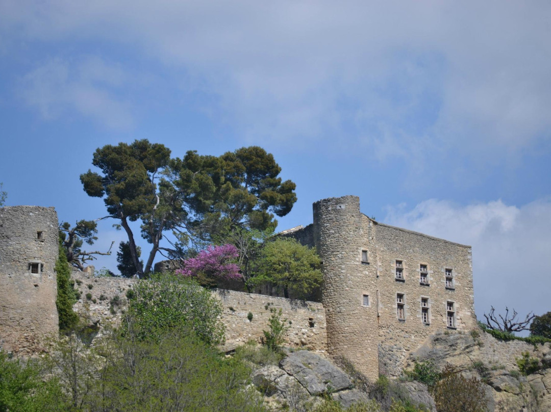 La Provence de Claire Tours-阿维尼翁必去景点