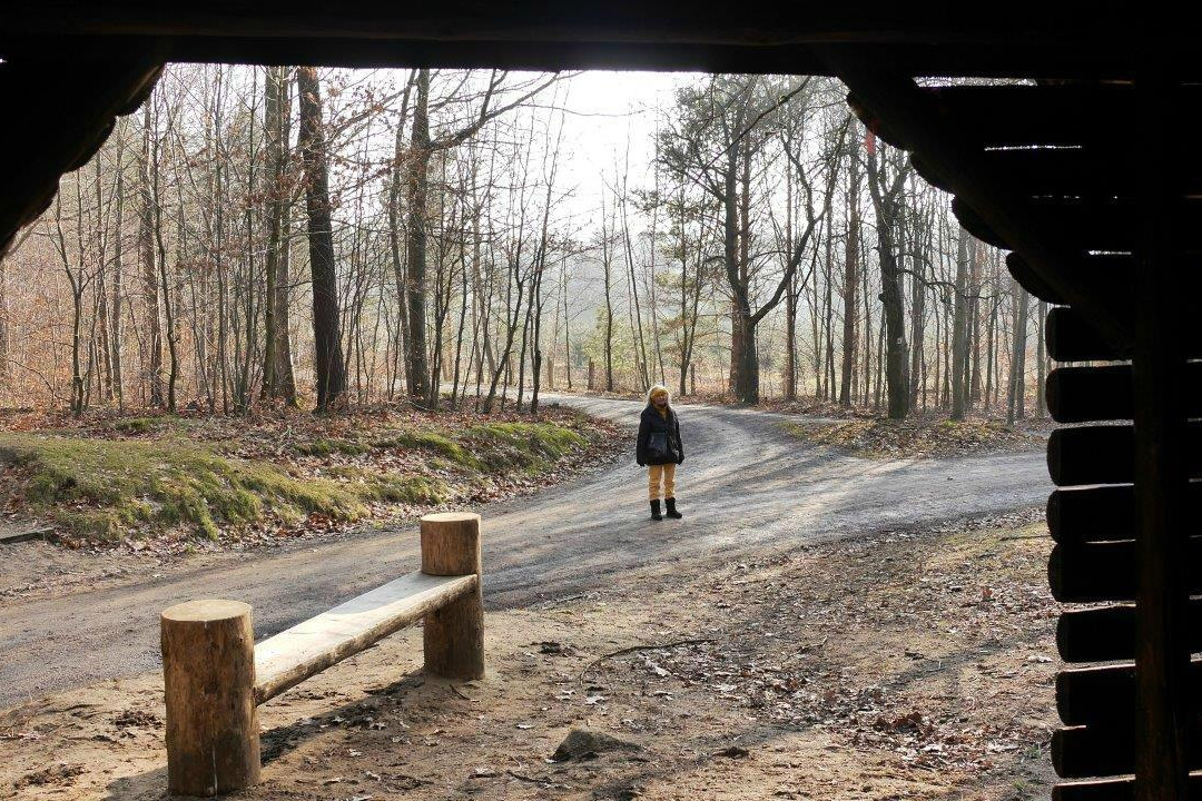 Fuehrungen in und um Dresden-德累斯顿必去景点