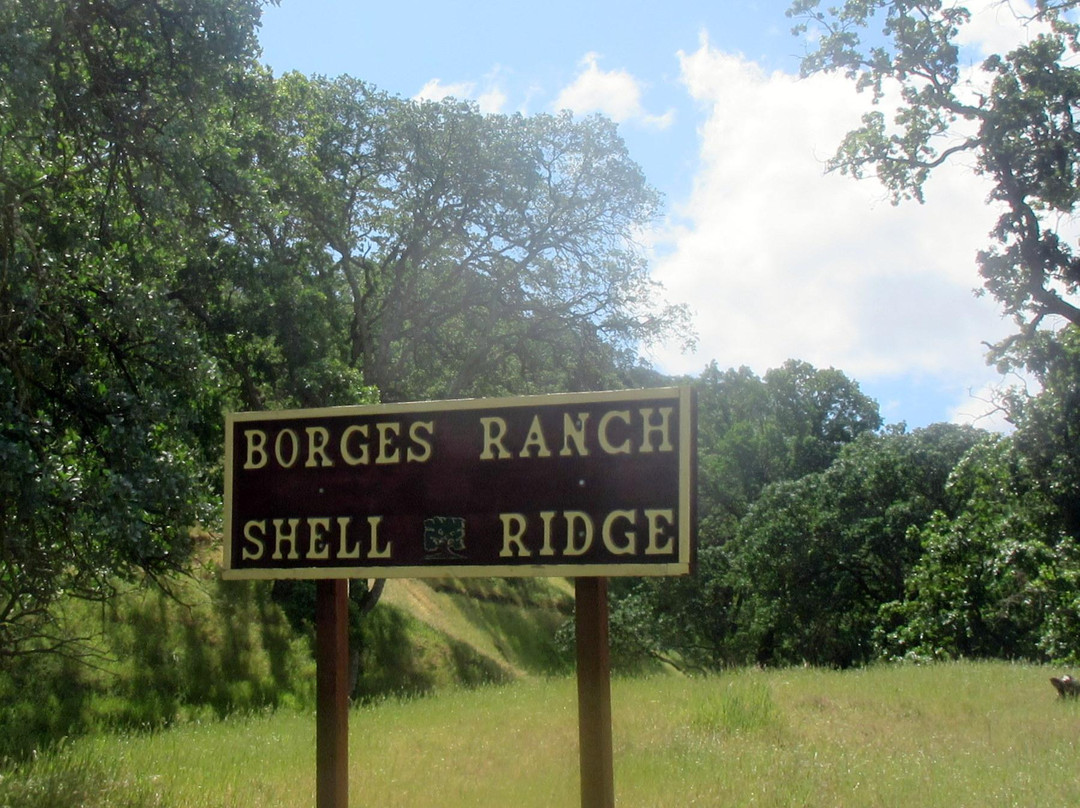 Shell Ridge Open Space-核桃溪必去景点