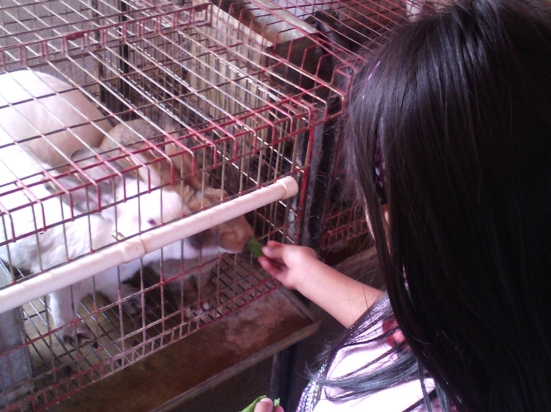 Mundo Granjero & Zoo-Contepec必去景点