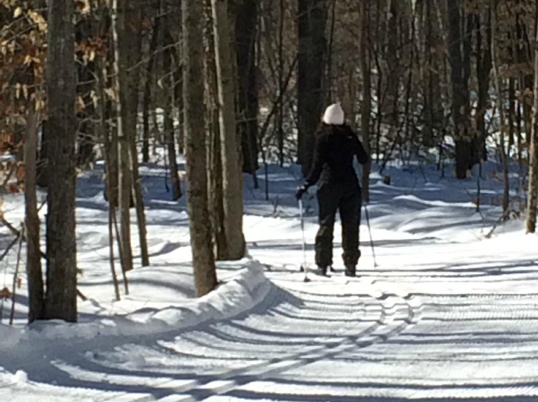 Wolfeboro Cross Country Ski Association景点图片