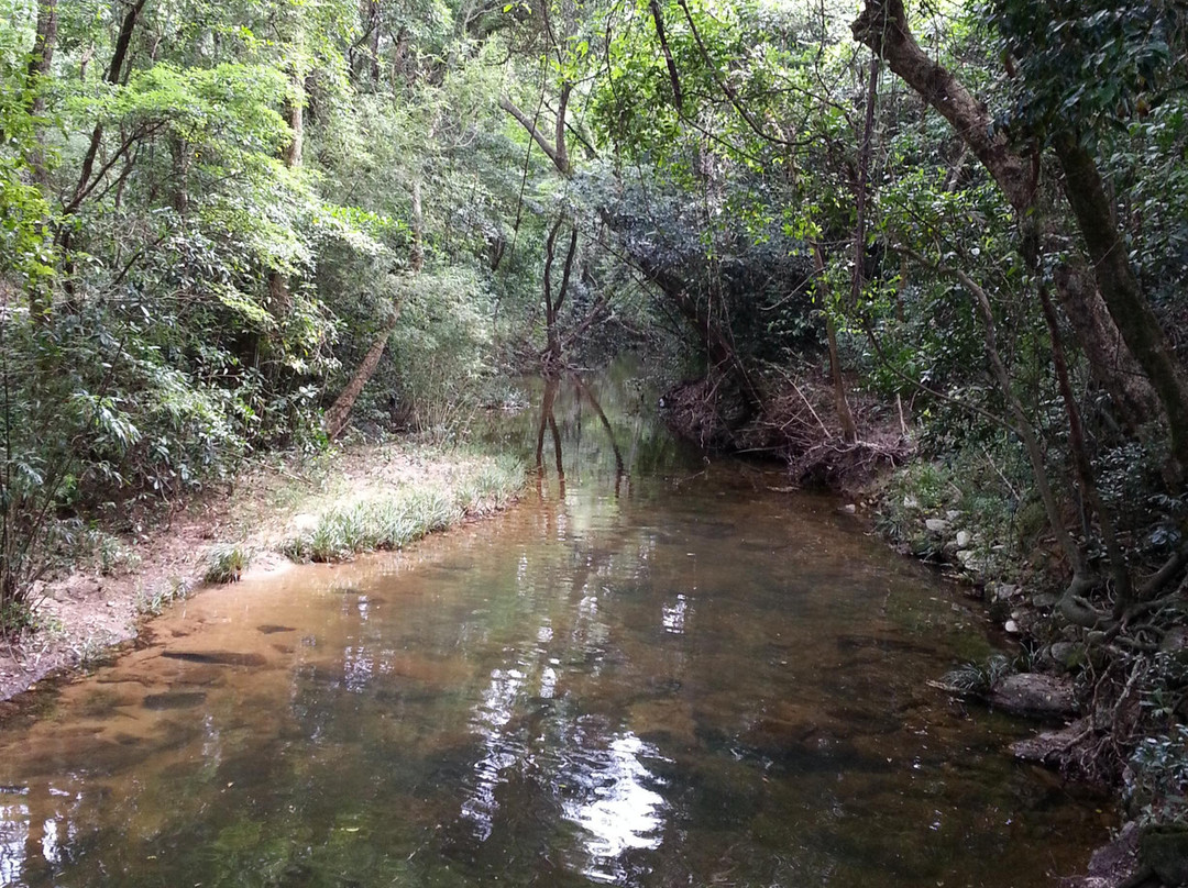 Ho Ho Go Experience Limited-香港必去景点