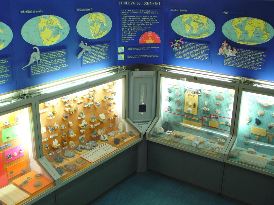 Museo Civico Craveri di Storia Naturale-Bra必去景点