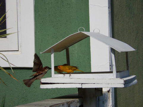 Pousada Alem do Horizonte主图