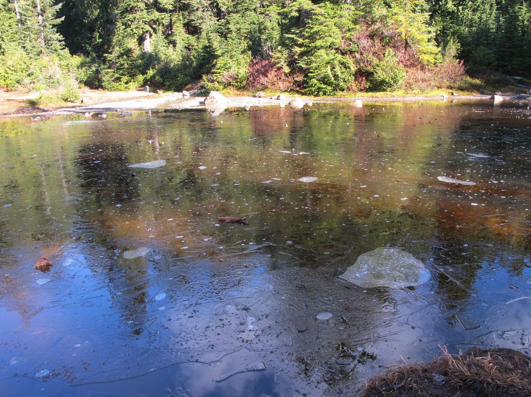 Mount Seymour Provincial Park-北温哥华必去景点