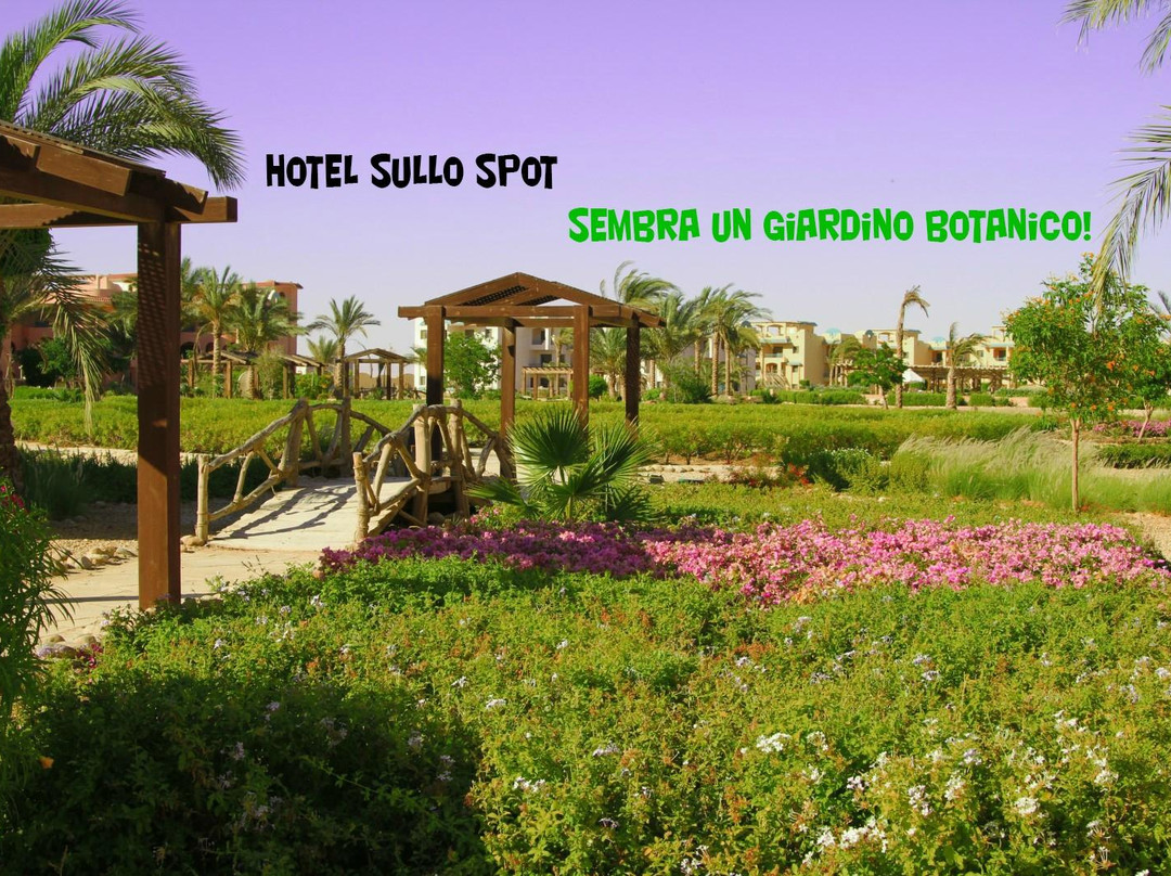 Kitesurfing Village Ras Sudr-雷斯苏勒必去景点