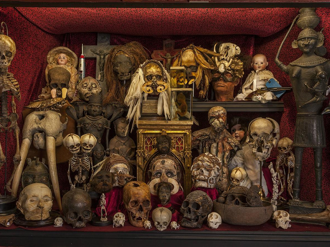 The Viktor Wynd Museum of Curiosities, Fine Art & UnNatural History