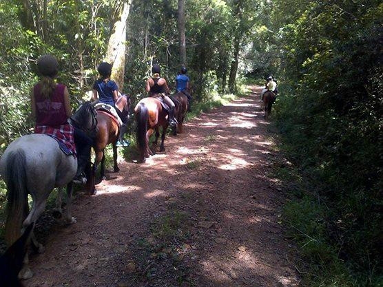 Garden Route Horse Trails
