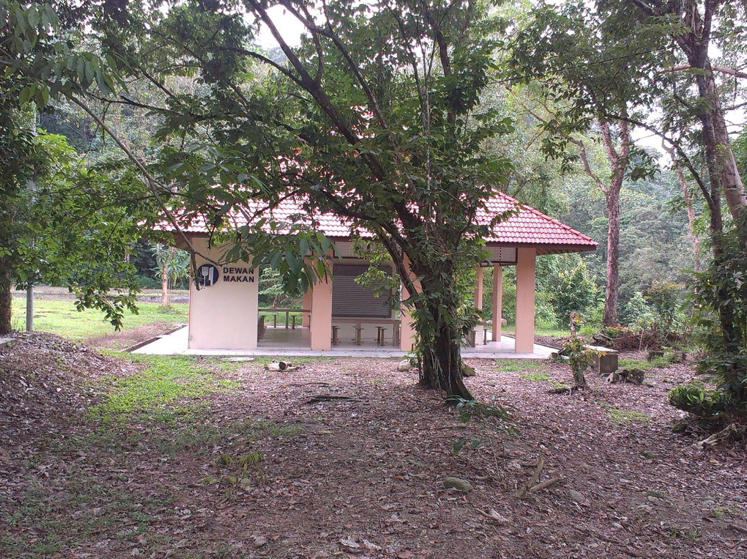 Kuala Woh Recreational Forest景点图片