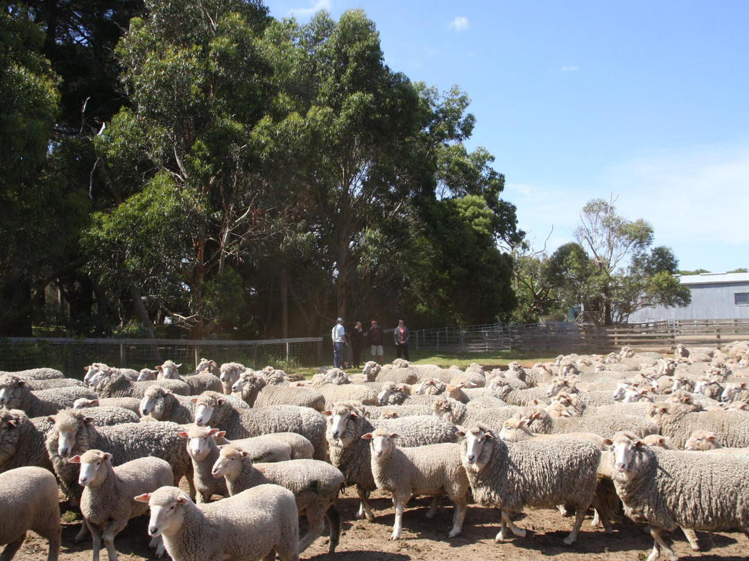 Gippsland Food Adventures - One Day Tours