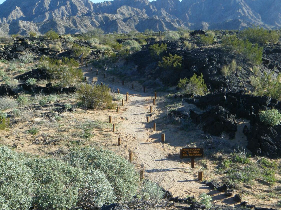 El Pinacate y Gran Desierto de Altar Biosphere Reserve景点图片
