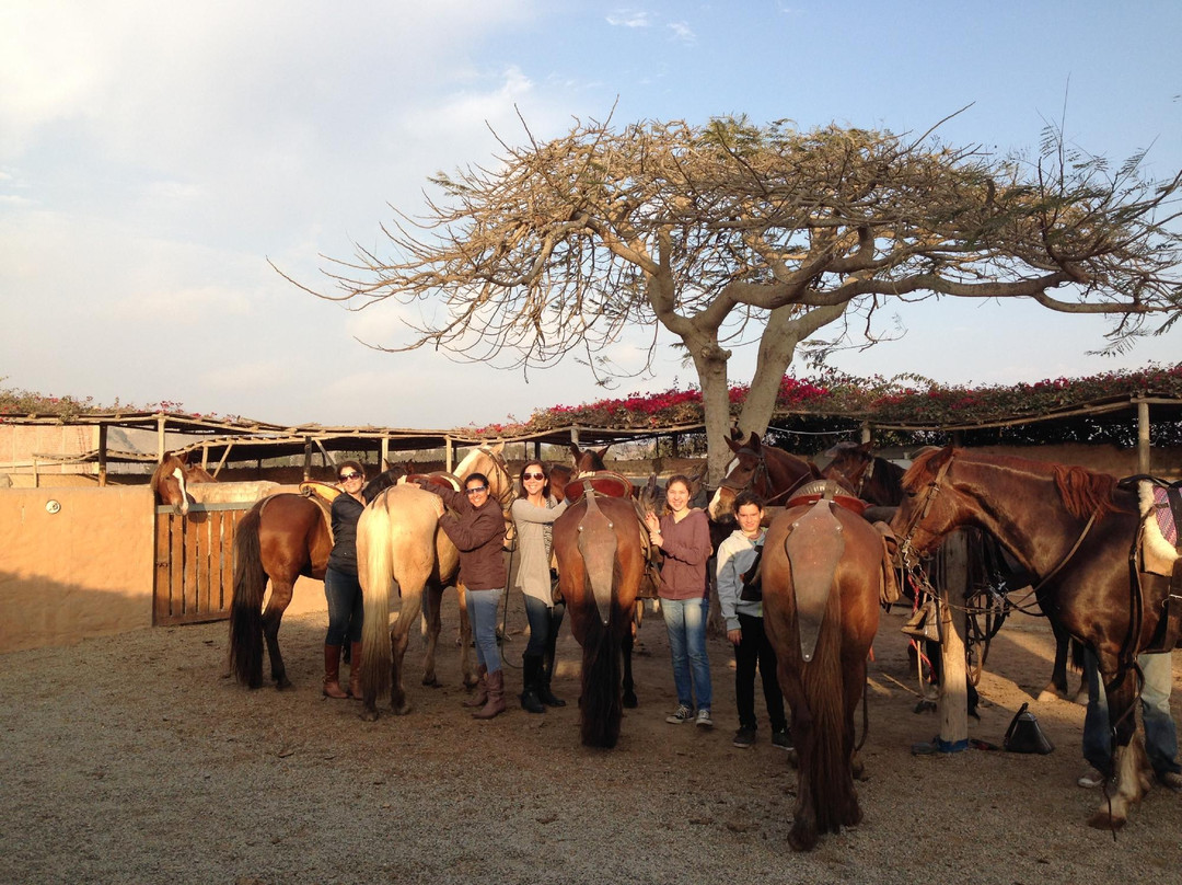 Cabalgatas-Santa Cruz de Flores必去景点