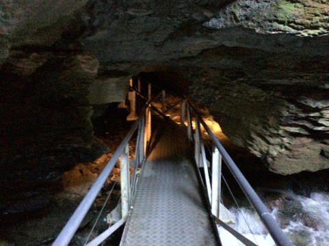 萤火虫洞-蒂阿瑙必去景点