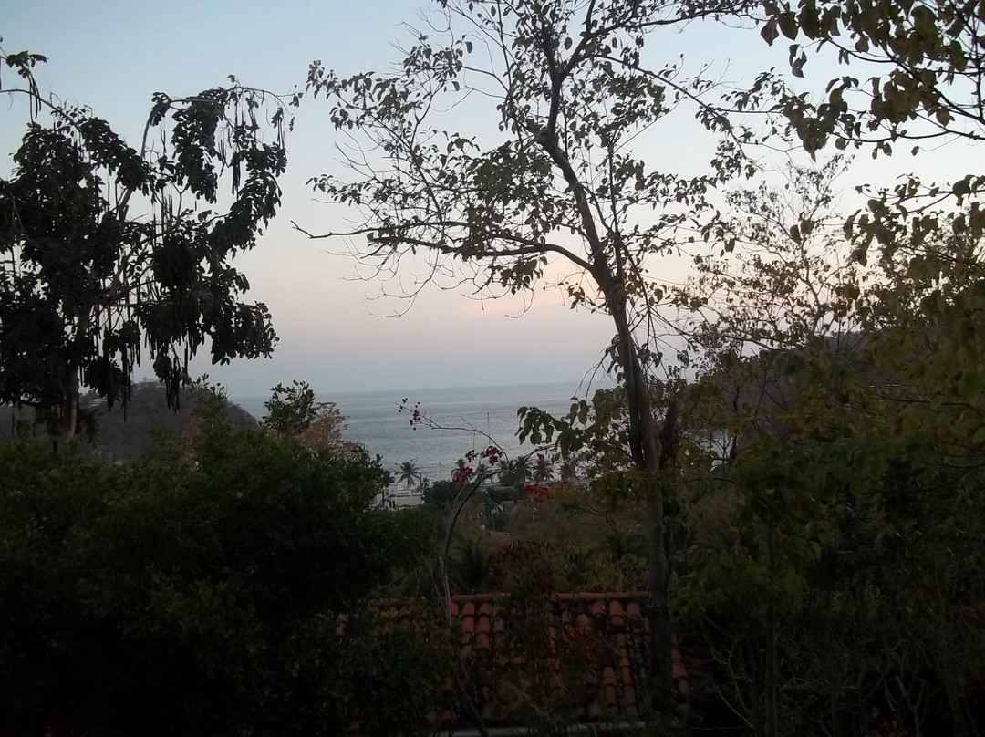 La Buena Vista主图