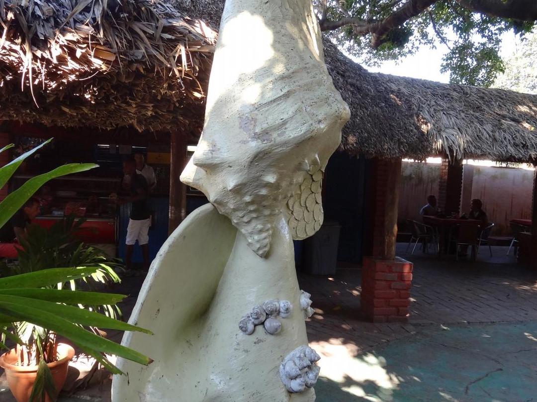 Museo de los Orishas-哈瓦那必去景点