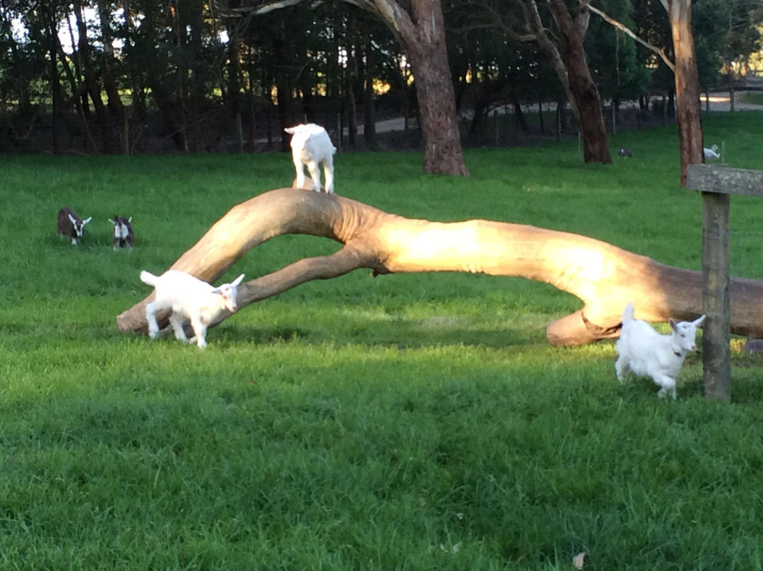 Wine & Food Lovers' Tours-Eltham必去景点