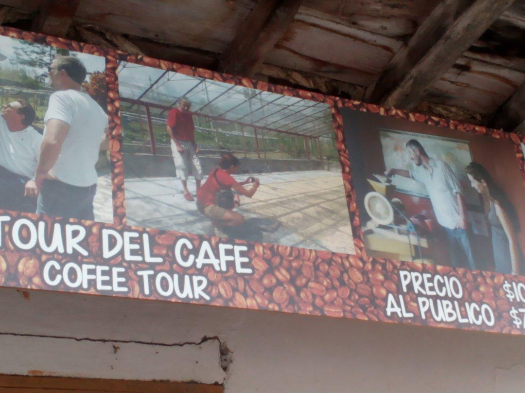 Hacienda El Sinai-Chinchina必去景点