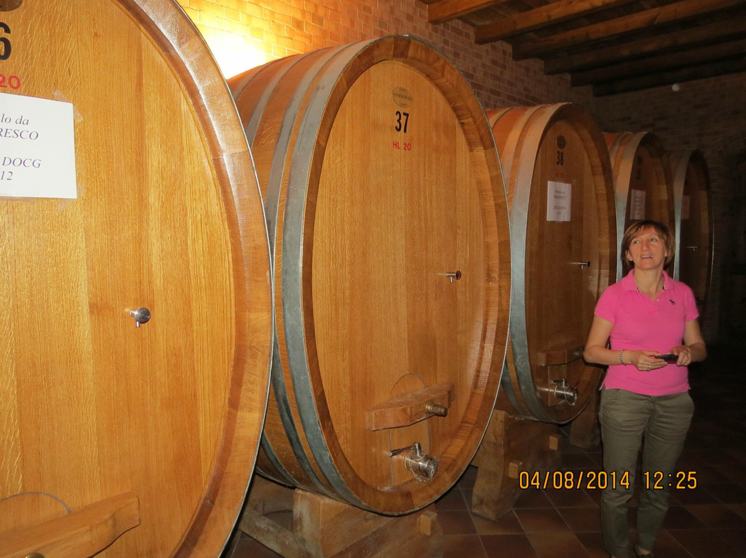 Albino Rocca Winery景点图片