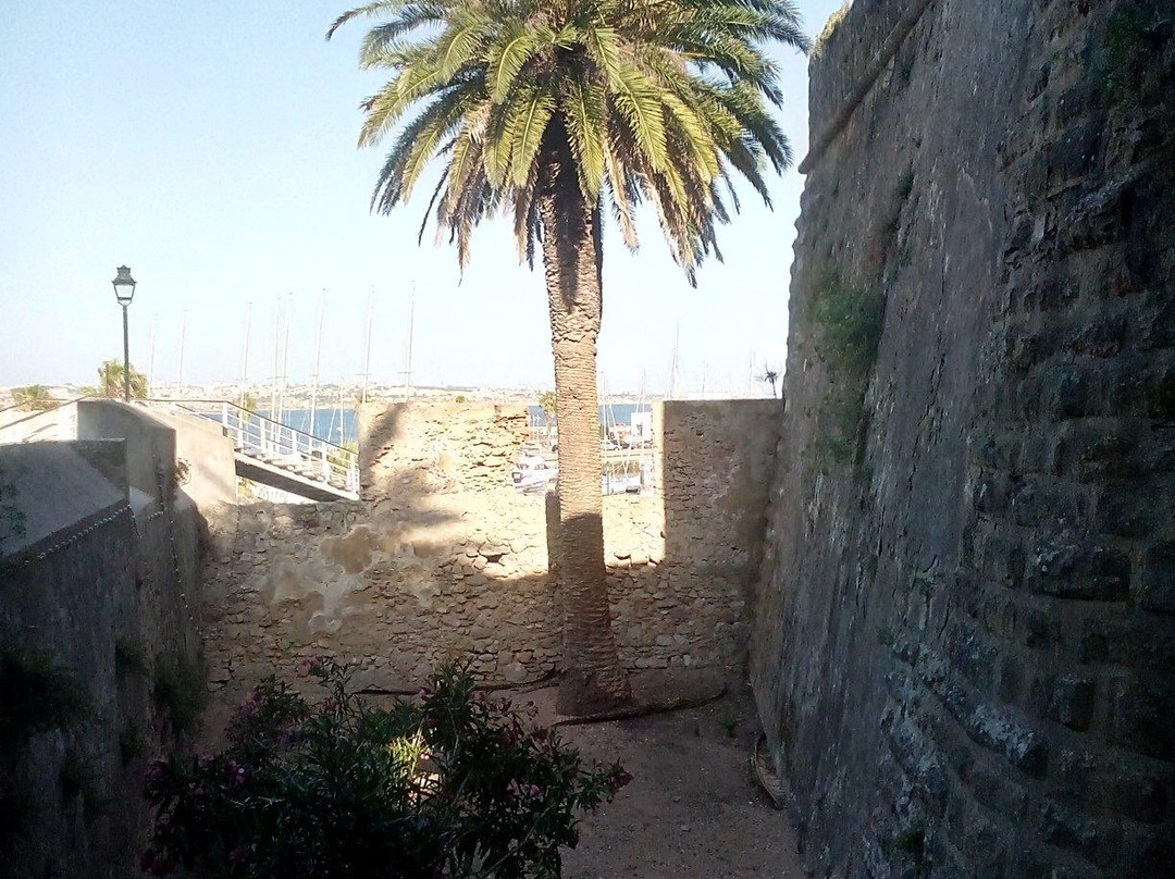 Fortaleza de Nossa Senhora da Luz景点图片