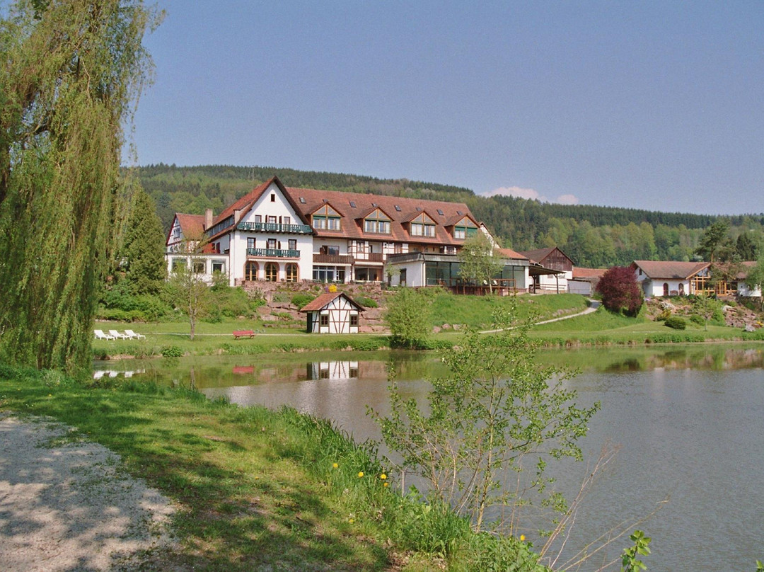 Gemunden am Main酒店住宿-Hotel Gut Duernhof
