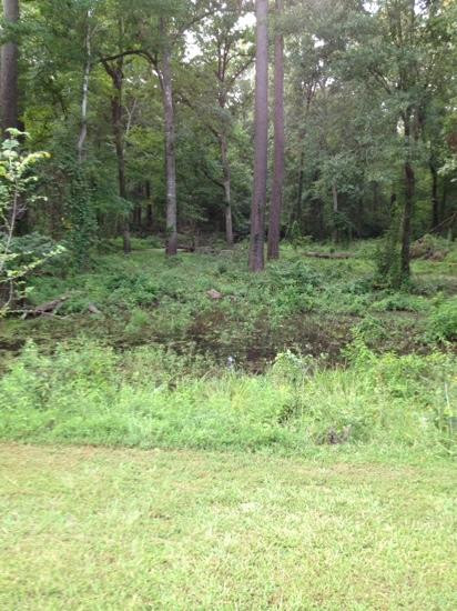 Chemin-A-Haut State Park-Bastrop必去景点