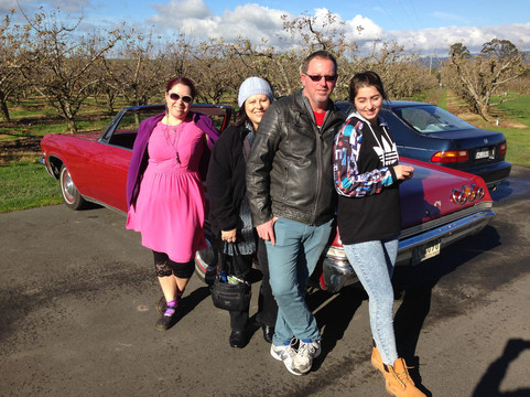 Top Down Tours-墨尔本必去景点