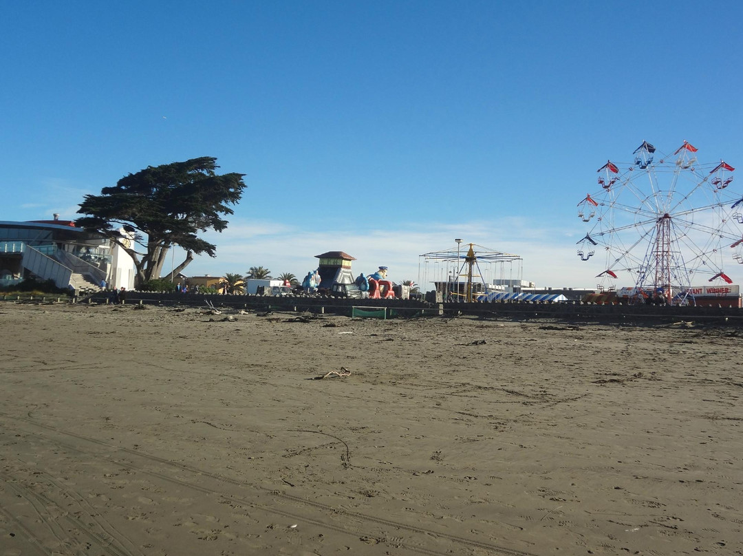 新布赖顿海滩-基督城必去景点