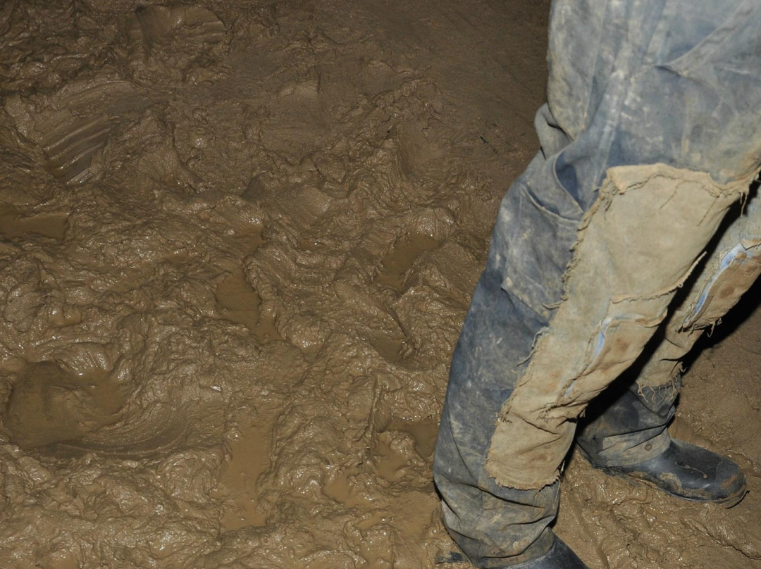 Ledge View Nature Center-Chilton必去景点