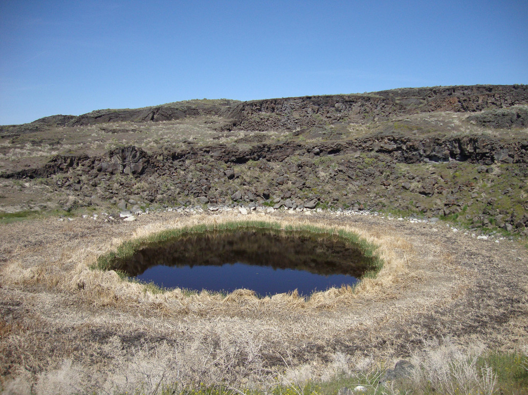 Diamond Craters Outstanding Natural Area-Diamond必去景点