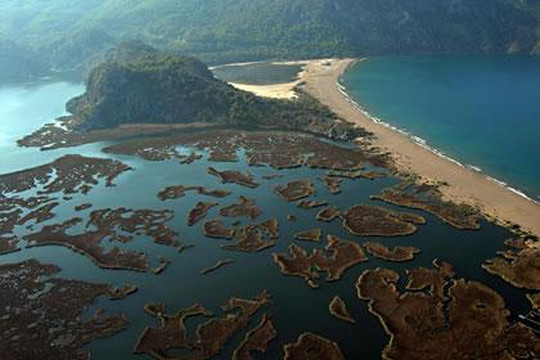 Aya Nicola Travel Daily Tours