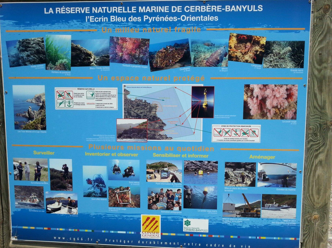 Le Sentier Sous-Marin de Cerbère-Banyuls-Cerbere必去景点