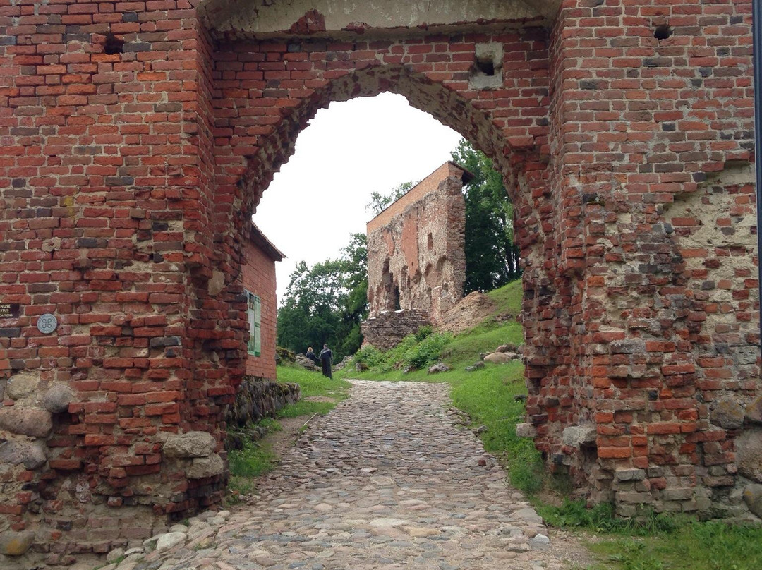 Ruins of the Viljandi Order Castle景点图片