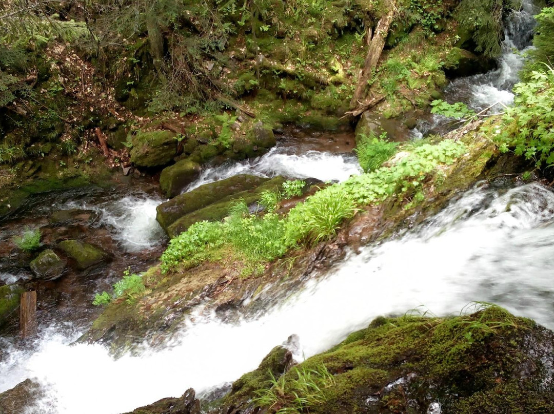 Waterfalls Canyon景点图片