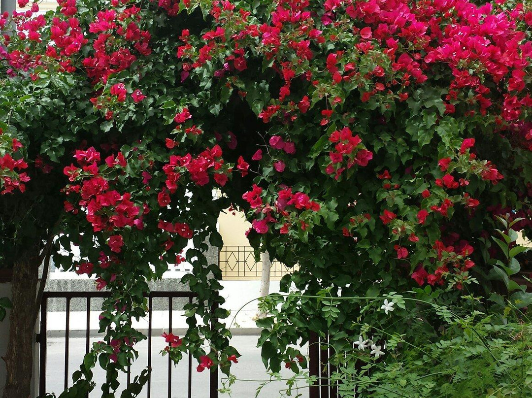 Hostal El Puerto Boutique
